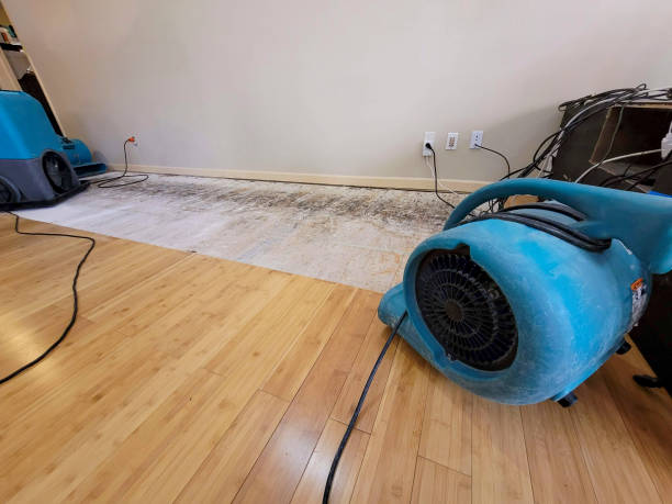 Professional Ceiling Water Damage Repair technician working in Cedar, MN