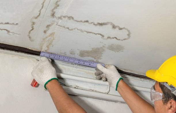 Affordable Ceiling Water Damage Repair solutions in Cedar, MN